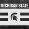 Michigan State University Black and White Stripes Galaxy Book 12in Skin